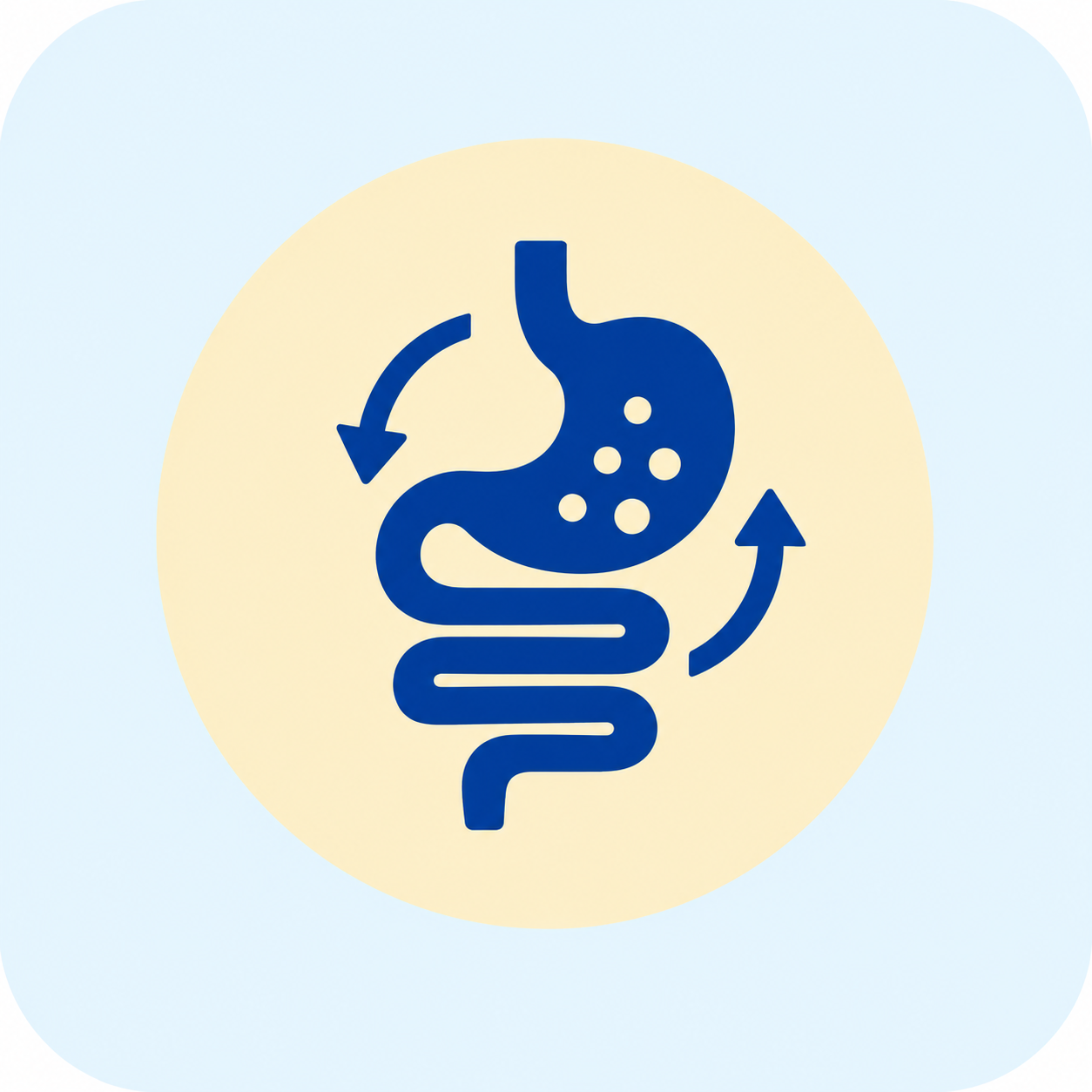 Aids Digestion